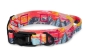 Preview: Halsband Fidlock®-Magnetverschluss mit Griff - Mont Blanc